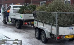 Kerstbomen ophaalactie