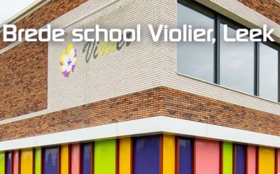 Brede school violier